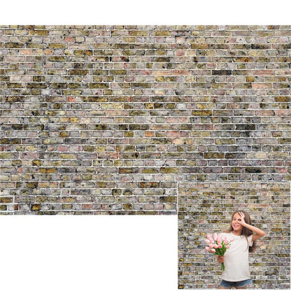 Graffiti Brick Wall Grey Backdrop for Photographers